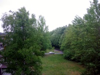Ausblick aus dem Büro in Richtung Wald