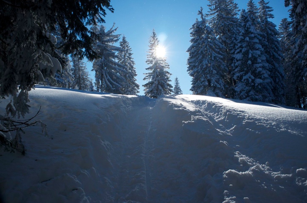 Kurz vor der Neureuth