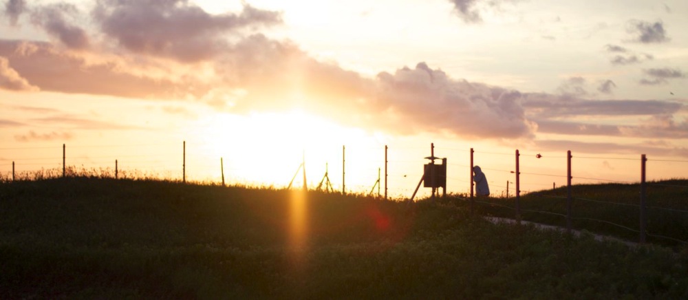 Sonnenuntergang auf Helgoland