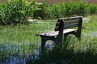 Die FÃ¼ÃŸe im Wasser