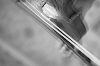 Le violon