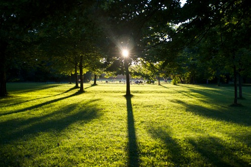 schatten