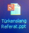 Türkenslang Referat